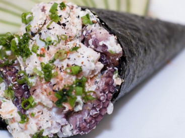 Temaki Verão Especial